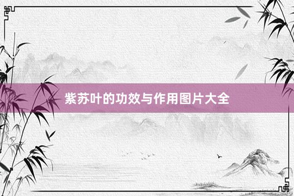 紫苏叶的功效与作用图片大全